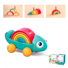 CAMALEÓN ARCO IRIS EN CAJA