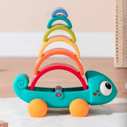 CAMALEÓN ARCO IRIS EN CAJA