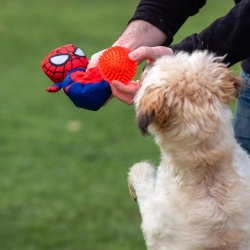 PELUCHE PARA PERRO PELOTA SPIDERMAN