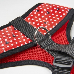 ARNÉS PARA PERROS XS MINNIE