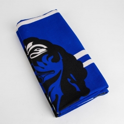TOALLA MICROFIBRA HARRY POTTER RAVENCLAW