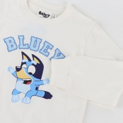 CHANDAL COTTON BRUSHED BLUEY