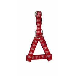 Athletic Club Arnés para Perro Talla L