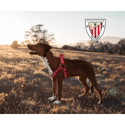 Athletic Club Arnés para PerroTalla M