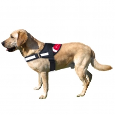 Athletic Club Arnés Reforzado con Relleno para Perro Talla SM Athletic