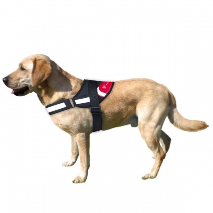 Athletic Club Arnés Reforzado con Relleno para Perro Talla SM Athletic