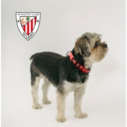 Athletic Club Collar para Perro Talla M