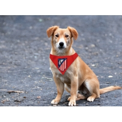 Atlético de Madrid Bandana para Perro