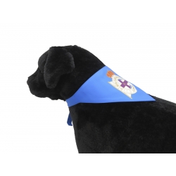 Deportivo de la Coruña Bandana para Perro