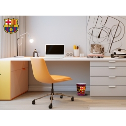 FC Barcelona Papelera