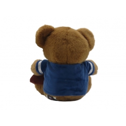 NFL Oso Peluche 20cm NFL Oso Peluche 20cm
