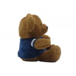 NFL Oso Peluche 20cm NFL Oso Peluche 20cm