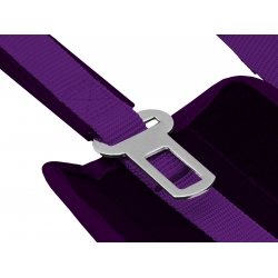 Real Valladolid Correa para Perro - Talla S-M Real Valladolid Correa para Perro - Talla S-M