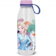 BOTELLA ECOZEN FROZEN 650ML